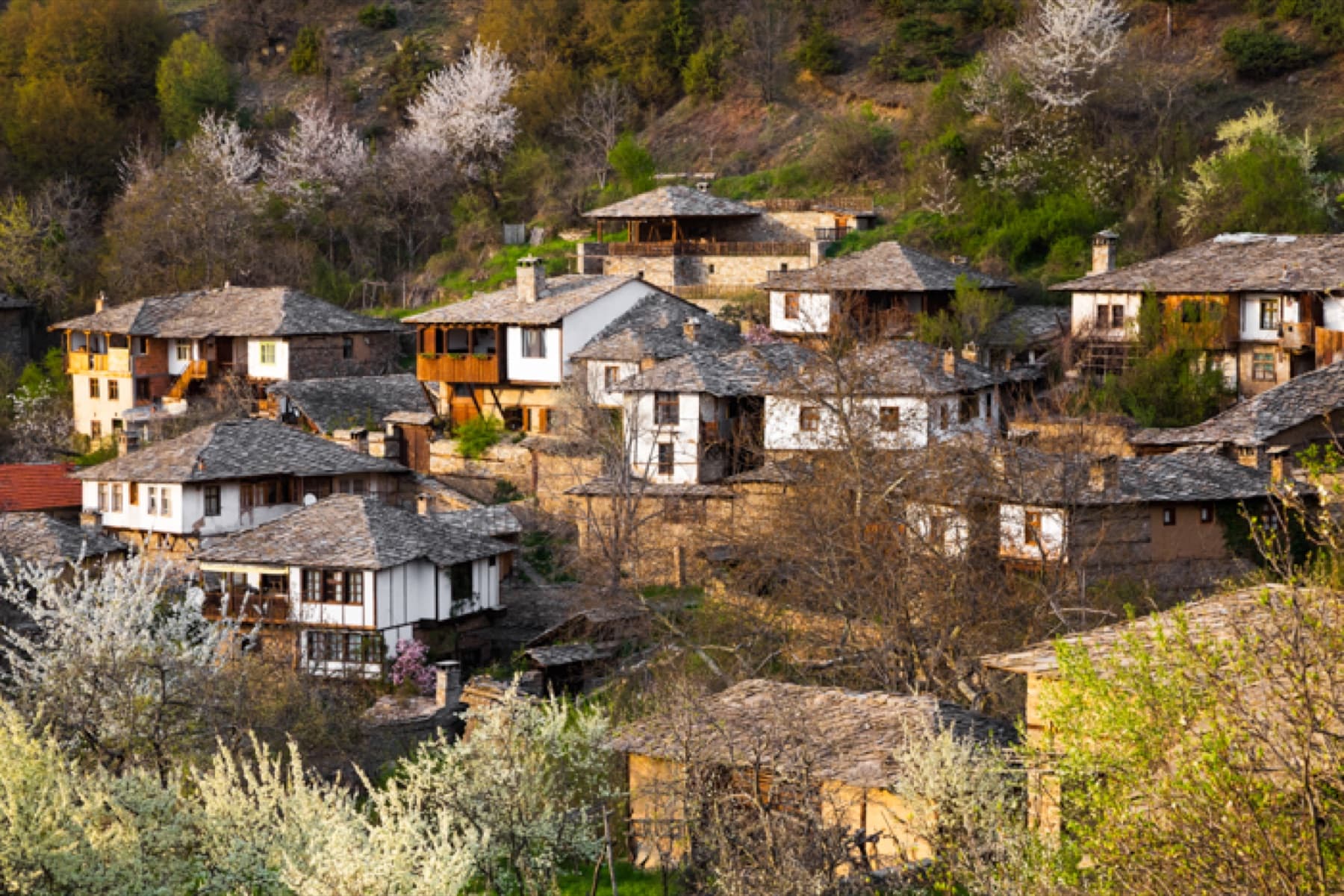 Лещен и гледката към планината