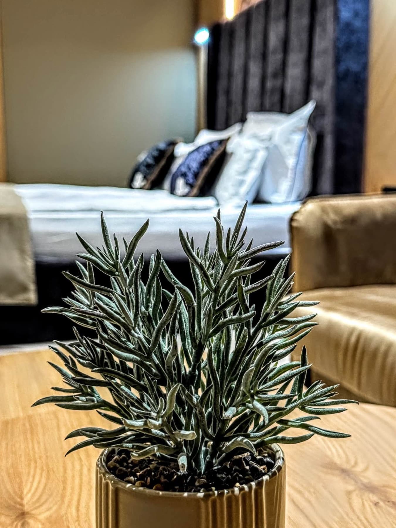 Делукс стая в Боже Име Spa & Park